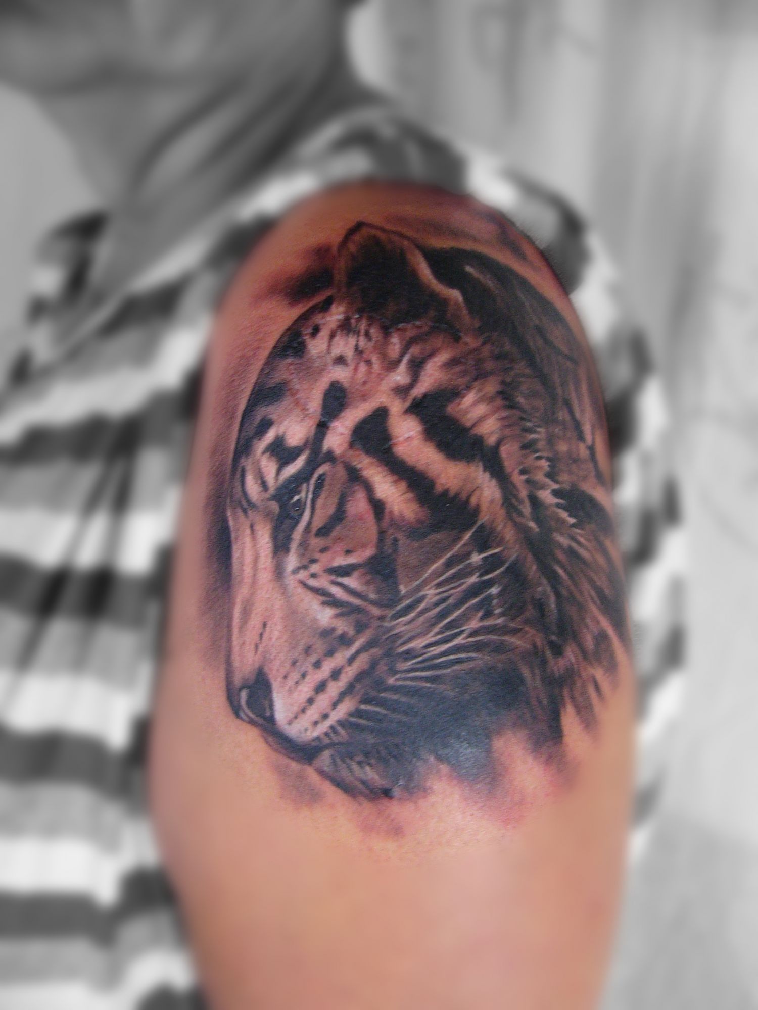 Állat tetoválás, Fekete fehér tetoválás, Felkar tetoválás, Realisztikus tetoválás, Váll tetoválás