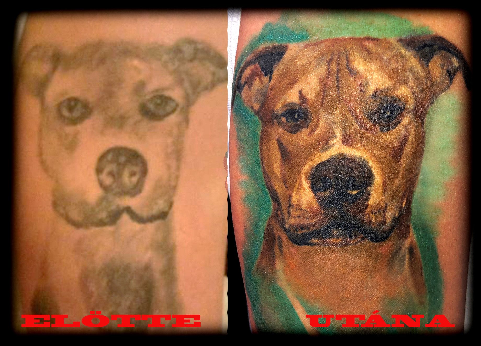 Állat tetoválás, Felújított tetoválások, Realisztikus tetoválás, Színes tetoválás, Takarás tetoválás