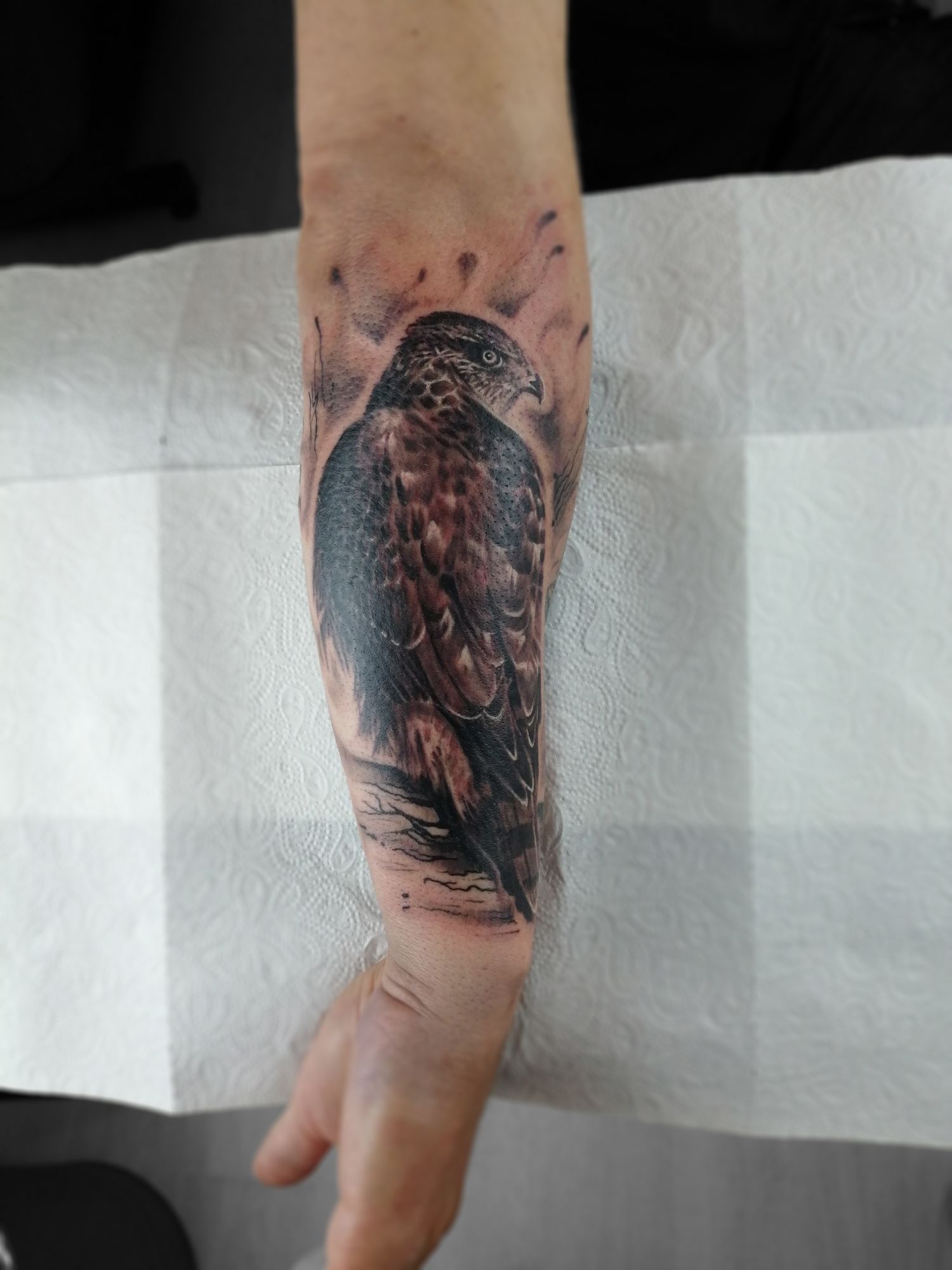 Alkar tetoválás, Állat tetoválás, Fekete fehér tetoválás, Madár tetoválás, Realisztikus tetoválás